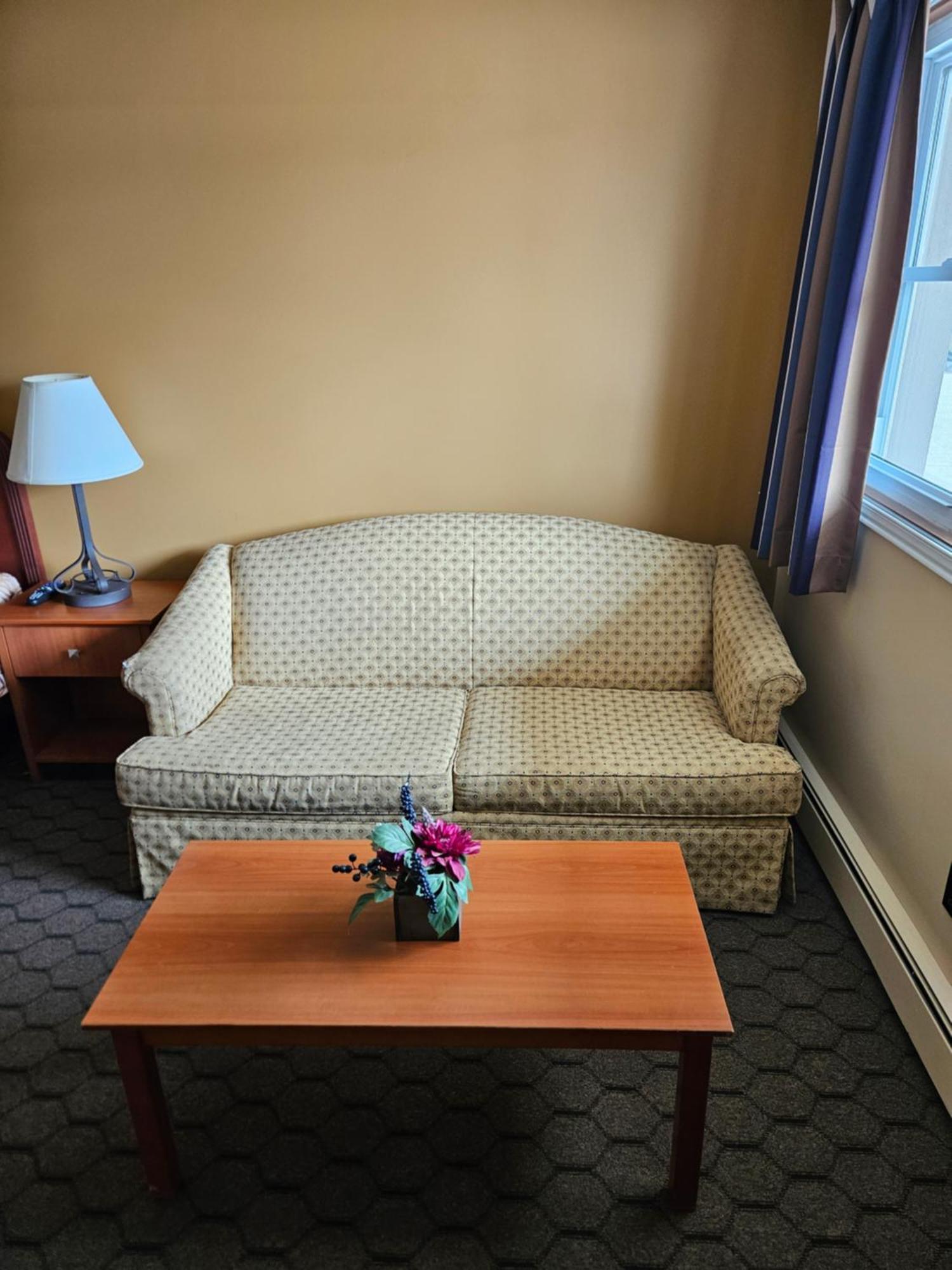Forest Plaza Motel Mount Forest Экстерьер фото